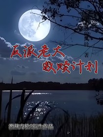 反派老大救赎计划