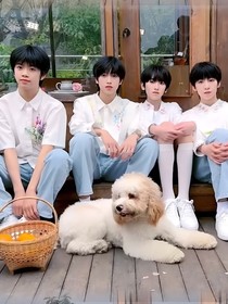 日常生活（麻将桌）TF家族四代