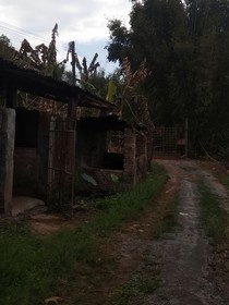 煙洲