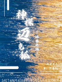神探邁克狐之冰善之海