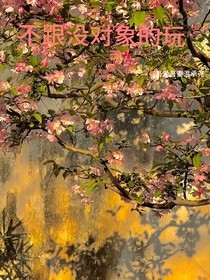 不跟沒對象的玩