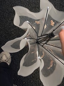 玫瑰頭顱