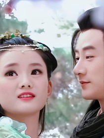 少林寺传奇藏经阁之子琴
