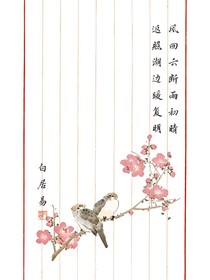 西北毛绒虎