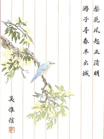 秦家乖崽