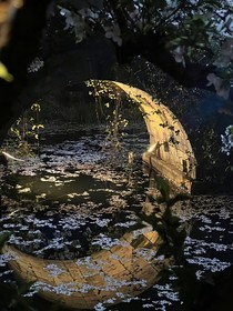 TNT：小师妹她勇闯修仙界
