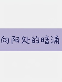 向阳处的暗涌