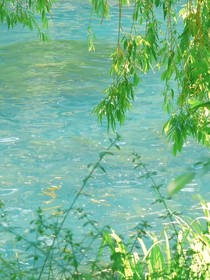 孙佳俊：小狗与小兔子