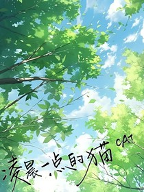 凌晨一点的猫cat