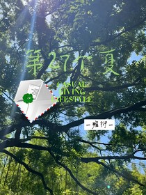 第27个夏