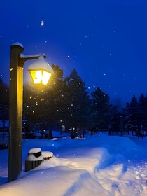 唐曉翼：請不要死在冬雪天