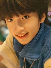 TF家族：命运的羁绊