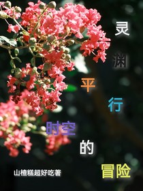 灵渊：平行时空的冒险