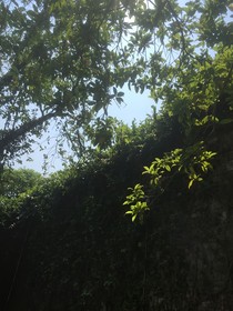 你是否想起