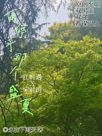 雨停于那個(gè)盛夏