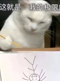 第五类命运，血与诗篇（类中世纪，类scp）