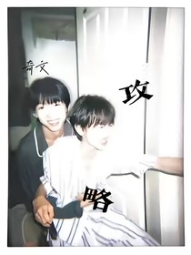 奇文：攻略者