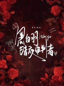 黑白羽：暗夜审判者