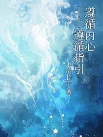 遵循内心——遵循指引（下文）
