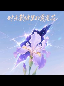 时光裂缝里的鸢尾花