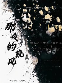 那夜的晚風(fēng)