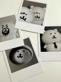 站在海棠花树下的我们