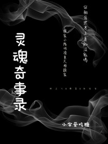 灵魂奇事录