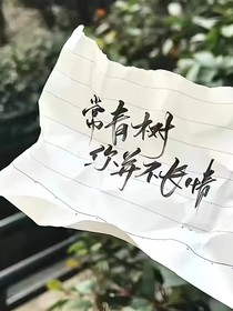 TNT：灵宠贴贴