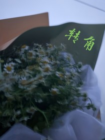 转角（雷安ooc致歉）