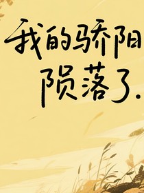 我的骄阳陨落了