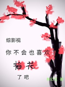 綜影視：你不會也喜歡梅花了吧