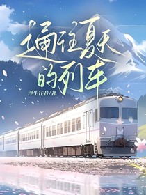 通往夏天的列车