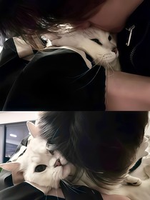 劉佳梁：幸福小狗