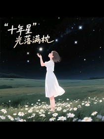 十年星光落满枕