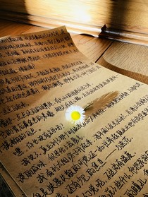 早安，雏菊小姐