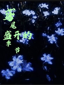 鸢尾盛开的季节