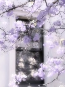 再不再見