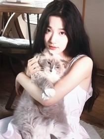 開始推理吧3：在甜吻中哄貓