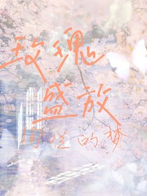 玫瑰盛放：绚烂的梦