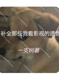 补全那些我看影视的遗憾