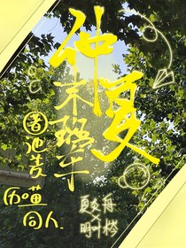 仲夏末班车（看简介）