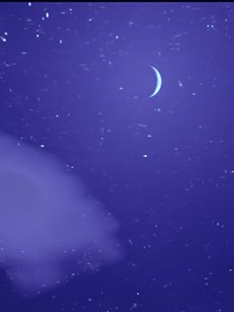 收藏的歌曲