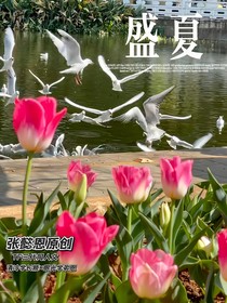 豪丞：盛夏