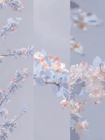 tnt：有风小院