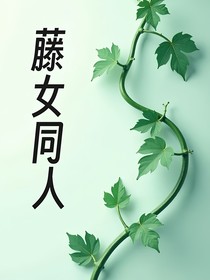 藤女同人（一篇完结）