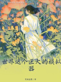 世界这个巨大的模拟器