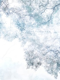云端與泥濘