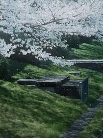 隨筆sin
