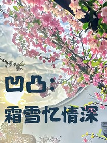 凹凸：霜雪忆情深