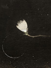 查九：禁止惡作劇